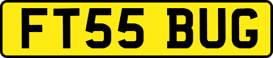 FT55BUG