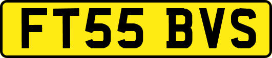 FT55BVS