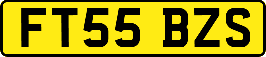 FT55BZS