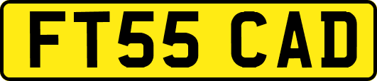 FT55CAD