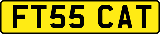 FT55CAT