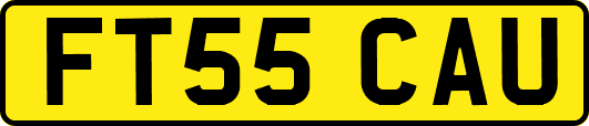 FT55CAU