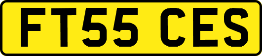 FT55CES