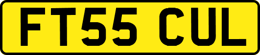 FT55CUL