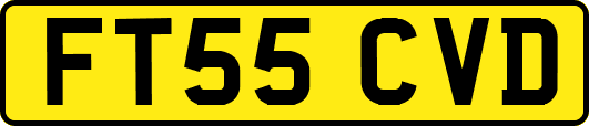 FT55CVD