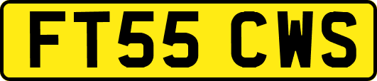 FT55CWS