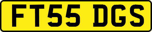 FT55DGS