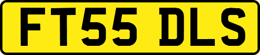 FT55DLS