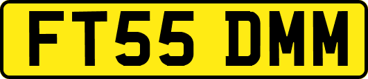 FT55DMM