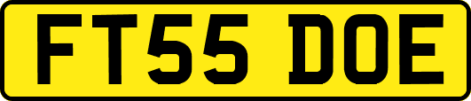 FT55DOE