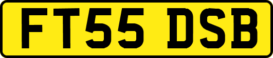 FT55DSB