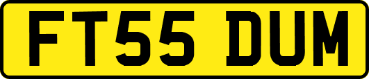 FT55DUM