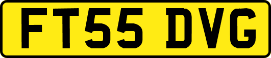 FT55DVG