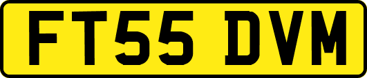 FT55DVM