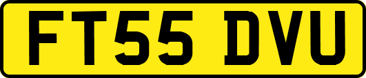 FT55DVU