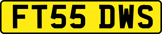 FT55DWS