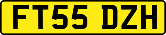 FT55DZH