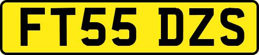 FT55DZS