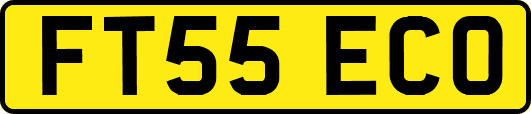 FT55ECO