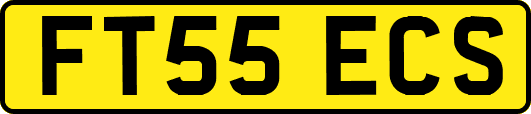FT55ECS