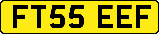 FT55EEF