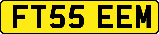 FT55EEM