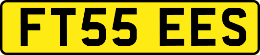 FT55EES