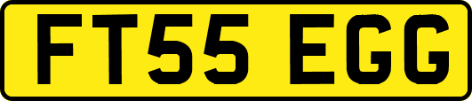 FT55EGG
