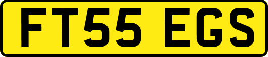FT55EGS