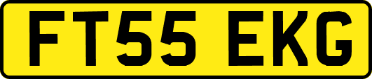 FT55EKG