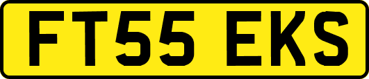 FT55EKS