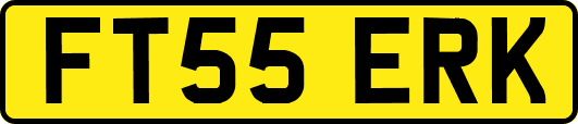 FT55ERK