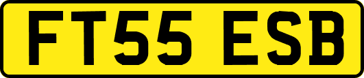 FT55ESB