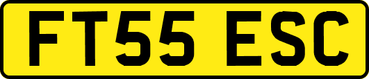 FT55ESC