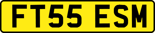 FT55ESM