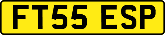 FT55ESP