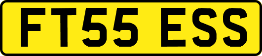 FT55ESS