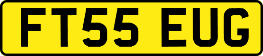 FT55EUG