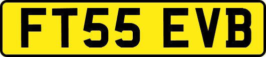 FT55EVB