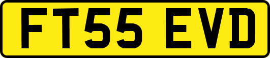 FT55EVD