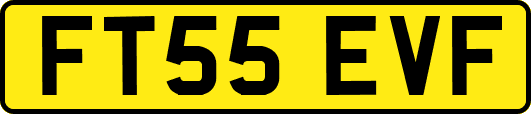 FT55EVF