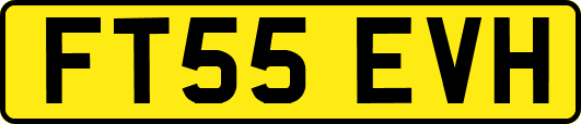 FT55EVH