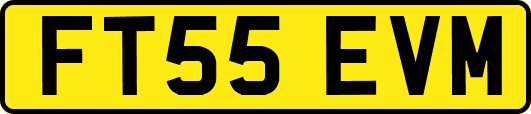 FT55EVM