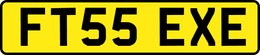 FT55EXE
