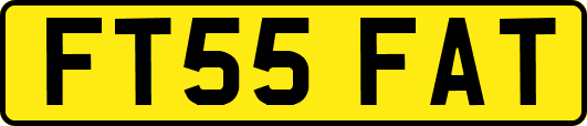 FT55FAT