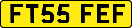 FT55FEF