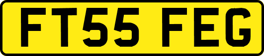 FT55FEG