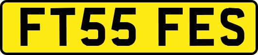 FT55FES