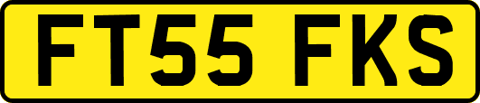 FT55FKS