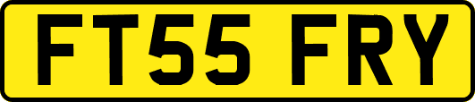FT55FRY